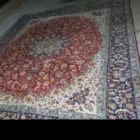 کلکسیونی آنتیک چراغ نفتی|کلکسیون اشیاء عتیقه|پرند, فاز ۳|دیوار