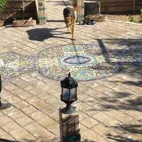 سگ ژرمن|سگ|لنجان, |دیوار