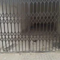 دراگاردویی