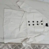 دو عدد پالتو نو