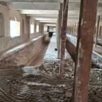 اجاره بابکت پاکدشت وتهران|خدمات حمل و نقل|پاکدشت, پاکدشت (مامازند)|دیوار