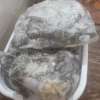 سبزی خورشتی خوزستان و توله