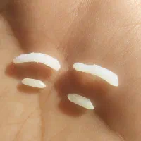 طارم هاشمی کشت اول صفر بوجار|خوردنی و آشامیدنی|زرگرشهر, |دیوار