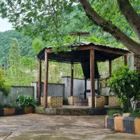 استخردار لوکس جنگلی