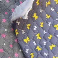 سرویس اشپزخونه|سفره، حوله، دستمال آشپزخانه|ایذه, |دیوار