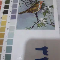 فروش تابلوخام