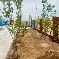 فروش زمین  باغی ۵۰۳ متری در آرامگاه فردوسی|فروش زمین و ملک کلنگی|مشهد, توس فردوسی|دیوار