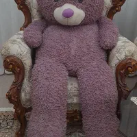 خرس بنفش در حد نو