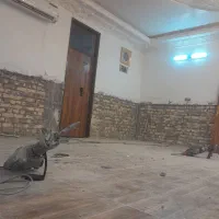 تخریب وکنده کاری وکارباپیکور