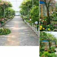 باغ تالار وکافه رستوران بهشت