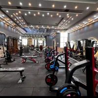 مربی بدنسازی حرفه‌ای