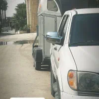 جا ب جایی اسب