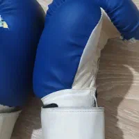 دستکش بوکس|تجهیزات ورزشی|رشت, گلسار|دیوار