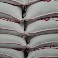 برنج شمال هاشمی|خوردنی و آشامیدنی|سنندج, |دیوار