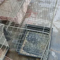 قفس پرنده سهره وطوطی قناری فنچ