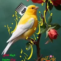 زمین-باغ-شهری-ملکی