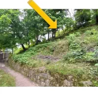 فروش زمین در روستا توریستی امام زاده هاشم رشت|فروش زمین و ملک کلنگی|تهران, نیروی هوایی (پیروزی)|دیوار