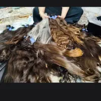 خریدار مو بالاترین قیمت استان