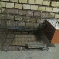قفس بزرگ ومتوسط