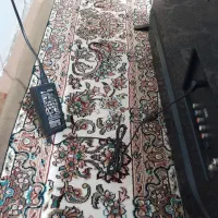 تلویزیون|تلویزیون و پروژکتور|سقز, |دیوار