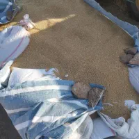 حمل بار ب تمام نقاط کشور.