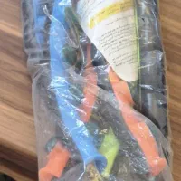 حلقه ورزشی نو