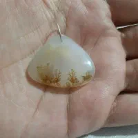 شجر ایرانی زیبا و واضح سایز بزرگ گردنی