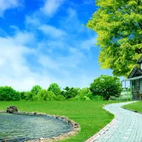 همخونه خانم برای خانم