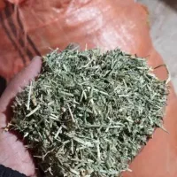 یونجه درجه یک صحرای کلاچو