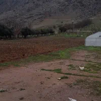 گلخانه  باغ  چاه کشاورزی|فروش دفتر صنعتی، کشاورزی، تجاری|خرم‌آباد, |دیوار