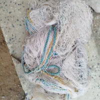 تور پرنده گیری