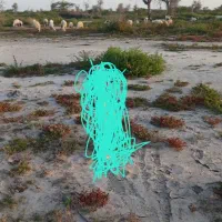 قطعه زمینی به متراژ500متر بفروش میرسد