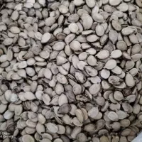 تخمه هندوانه|خوردنی و آشامیدنی|شیراز, سعدیه جنوبی|دیوار