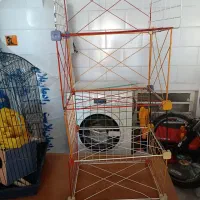 قفسه کتاب