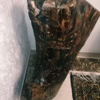 تنه درخت طبیعی زیبا  90 در 50|صنایع دستی و سایر لوازم تزئینی|تهران, ستارخان|دیوار