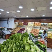 نیروی کار ، کارگر میوه فروشی کارگر ساده|استخدام خدمات فروشگاه و رستوران|تهران, تهرانسر مرکزی|دیوار