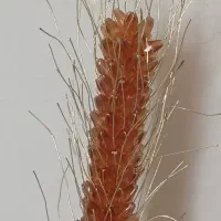 زمین کشاورزی