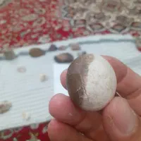 فروش سنگ زینتی آکواریم خام باقدرت معنوی و انرژی زا|ماهی|اشتهارد, |دیوار