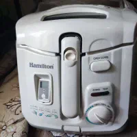 سرخ کن همیلتون