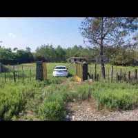 زمین-بر-اصلی-سند-تک-برگ