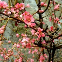 استخدام پرسنل سالن زیبایی