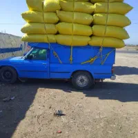 خرید فروش کاه زنجان درمحل