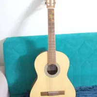 گیتار درحدنو|گیتار، بیس، امپلیفایر|شیراز, حومه شیراز|دیوار