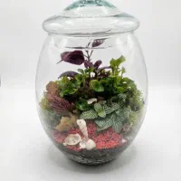 گیاه طبیعی|گل و گیاه طبیعی|باقرشهر, |دیوار