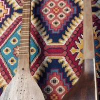 سه‌تار(حرفه ای)و(مبتدی)|سازهای سنتی|بوشهر, |دیوار