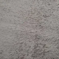 لوازم منزل|فرش|شاندیز, |دیوار