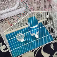 سلام قفس عنواع پرنده|لوازم جانبی حیوانات|تهران, شارق|دیوار