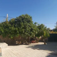 رهن و اجاره منزل مسکونی|اجارهٔ خانه و ویلا|شیراز, شهرک قمشه|دیوار