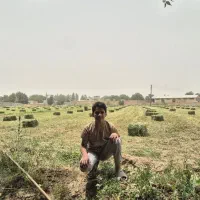 پرس یونجه خشک چین سوم ۴/۲۴ بارگیری