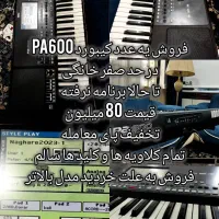 ارگpa600
